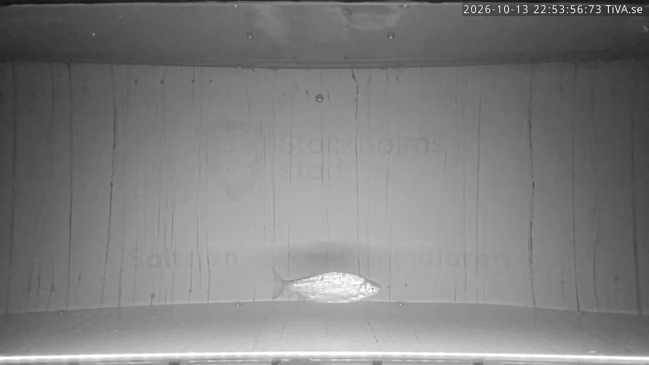 Video 2026-10-13 22:54