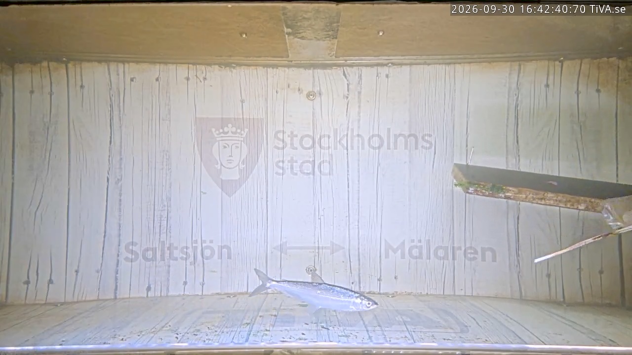 Video 2026-09-30 16:42