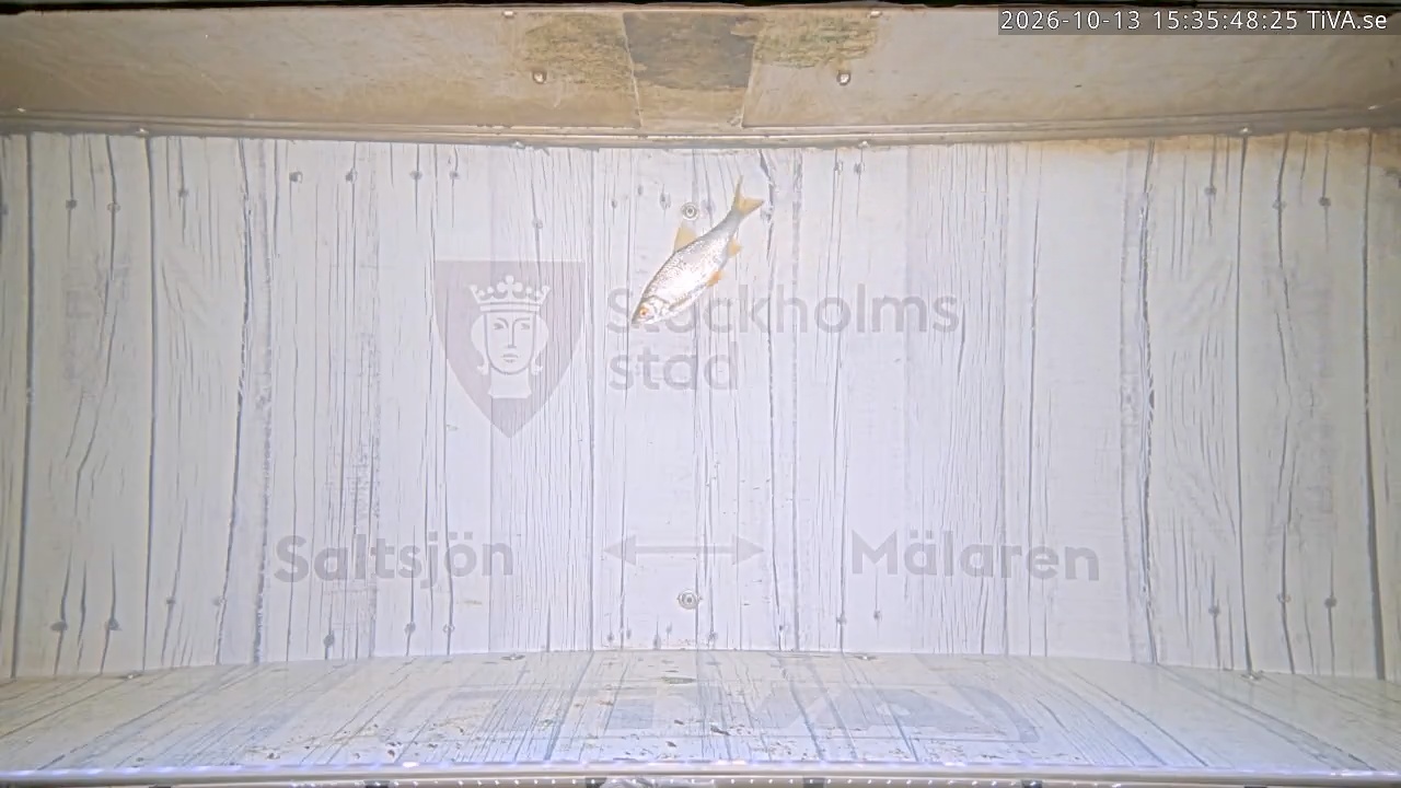 Video 2026-10-13 15:35