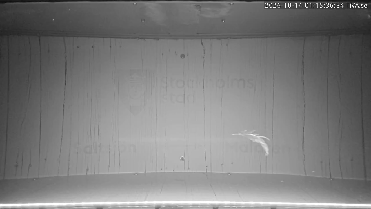 Video 2026-10-14 01:15