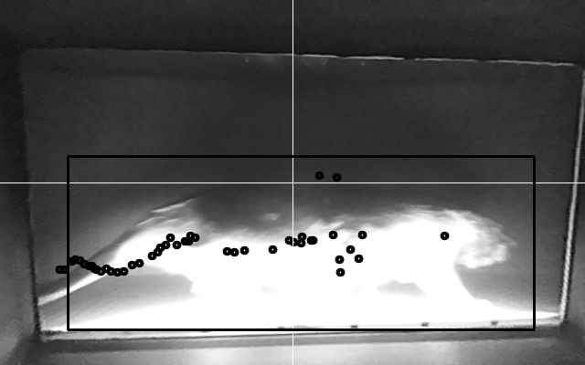 Video 2026-04-21 02:17