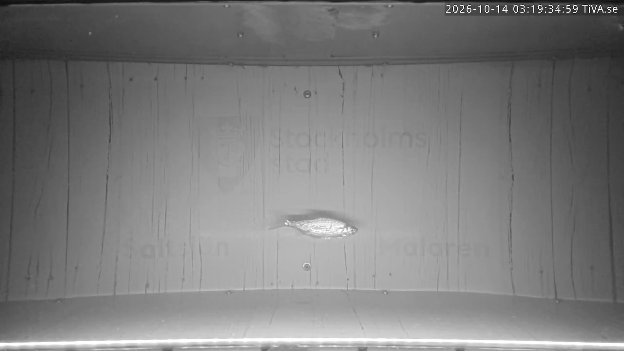 Video 2026-10-14 03:19