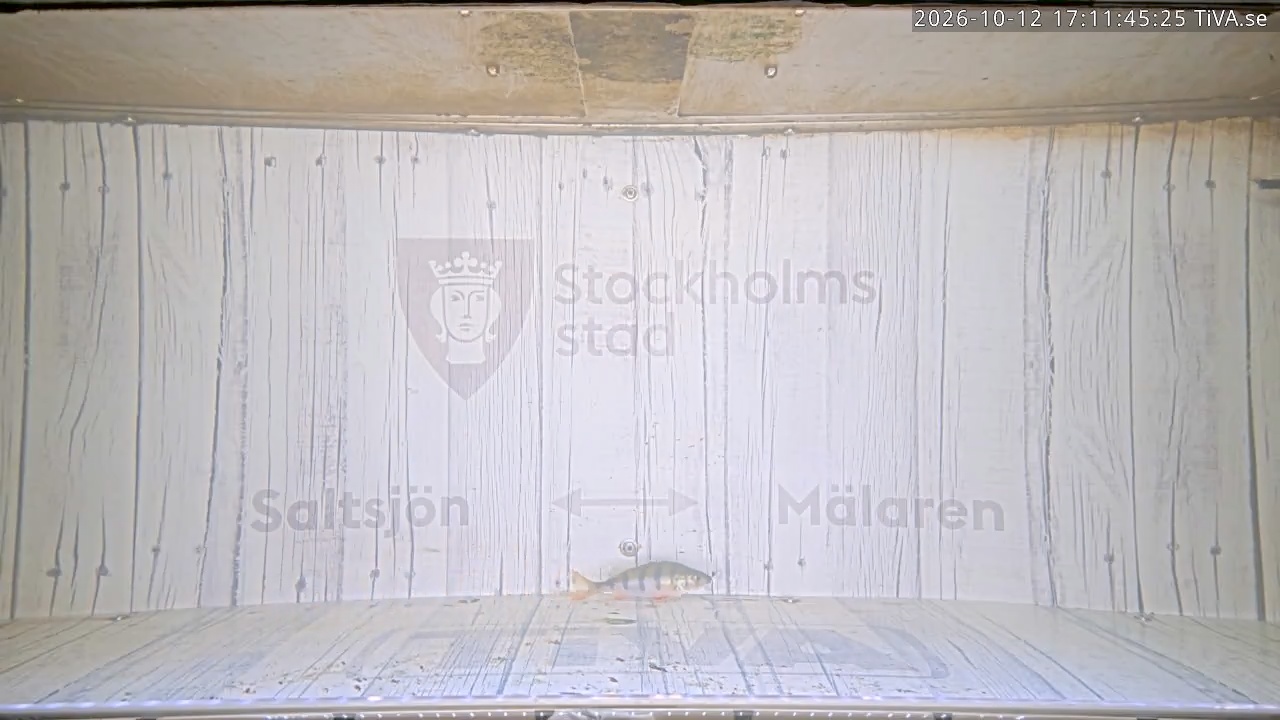 Video 2026-10-12 17:11