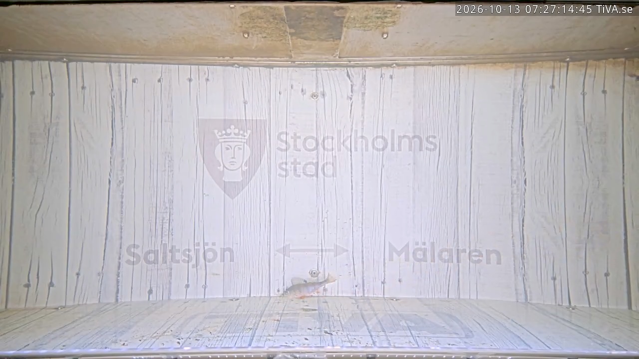 Video 2026-10-13 07:27