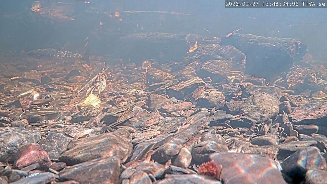 Video 2026-09-27 13:48