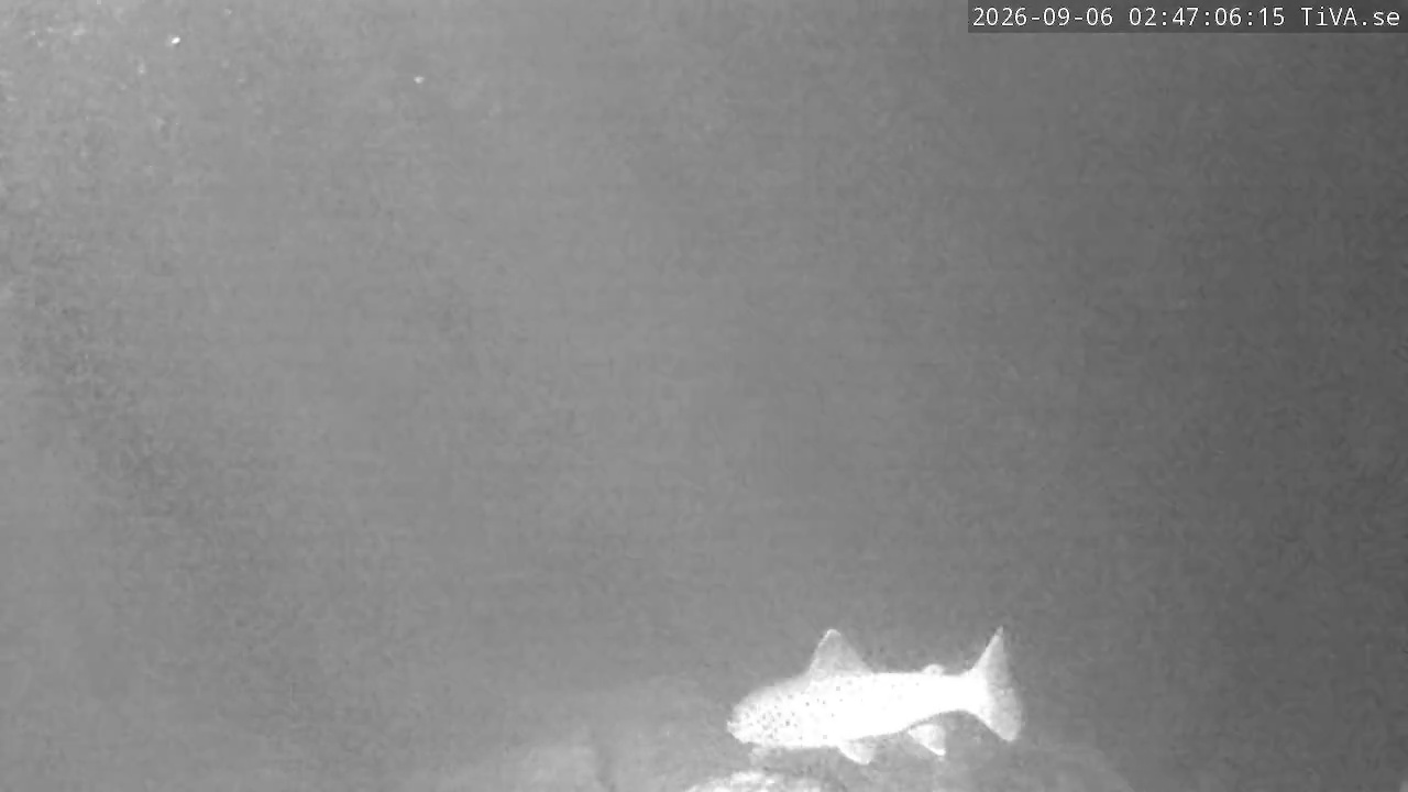 Video 2026-09-06 02:47