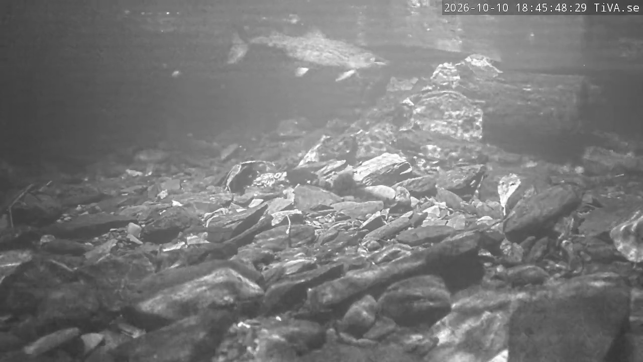 Video 2026-10-10 18:45