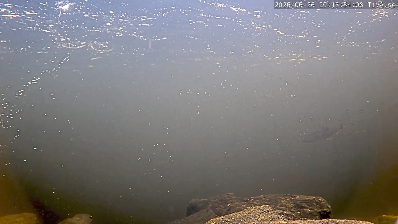Video 2026-06-26 20:19