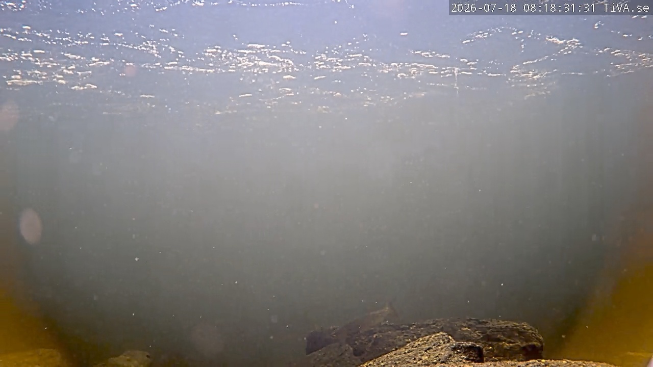 Video 2026-07-18 08:18