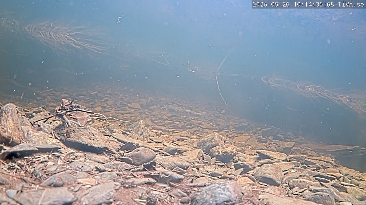 Video 2026-05-26 10:14