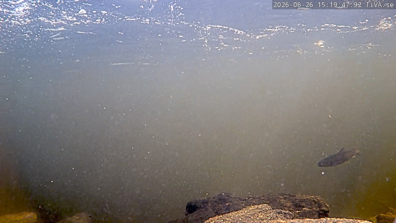 Video 2026-06-26 15:19