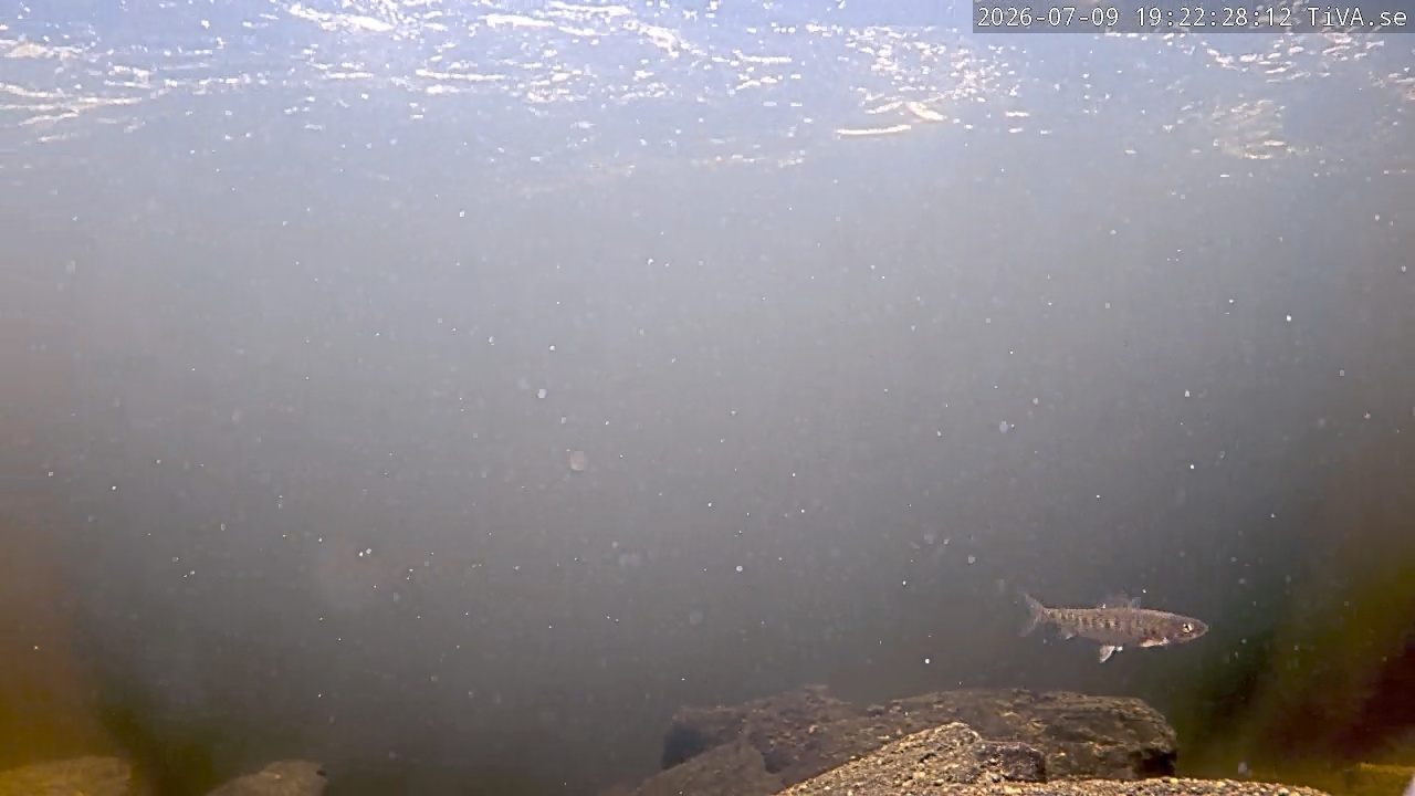 Video 2026-07-09 19:22