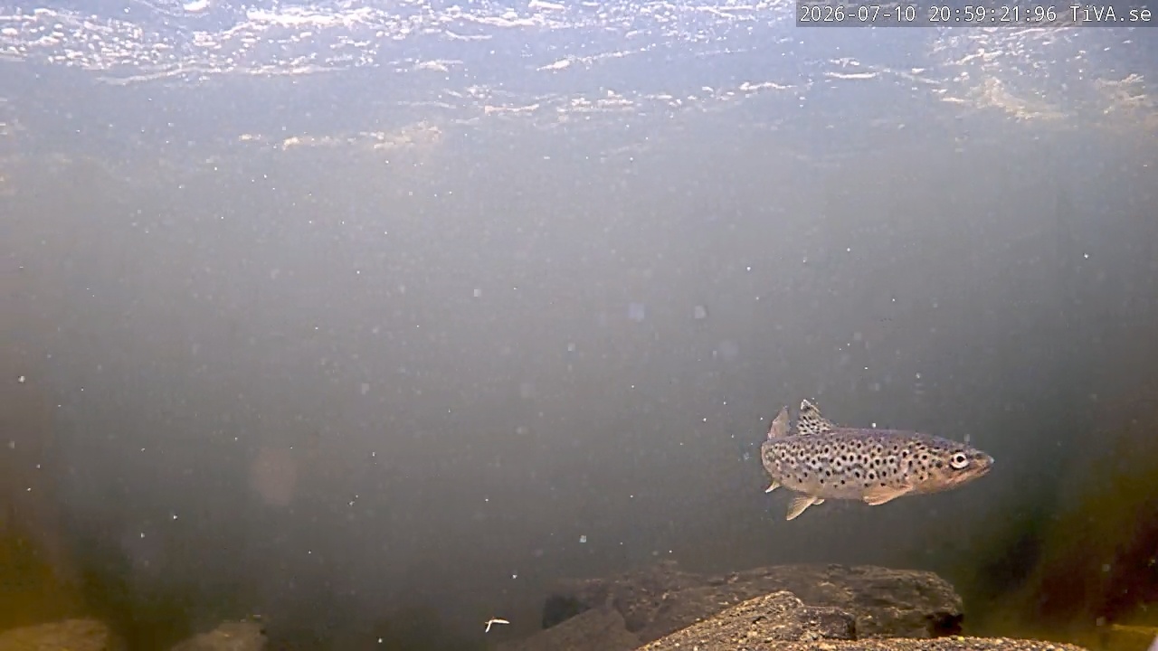 Video 2026-07-10 20:59