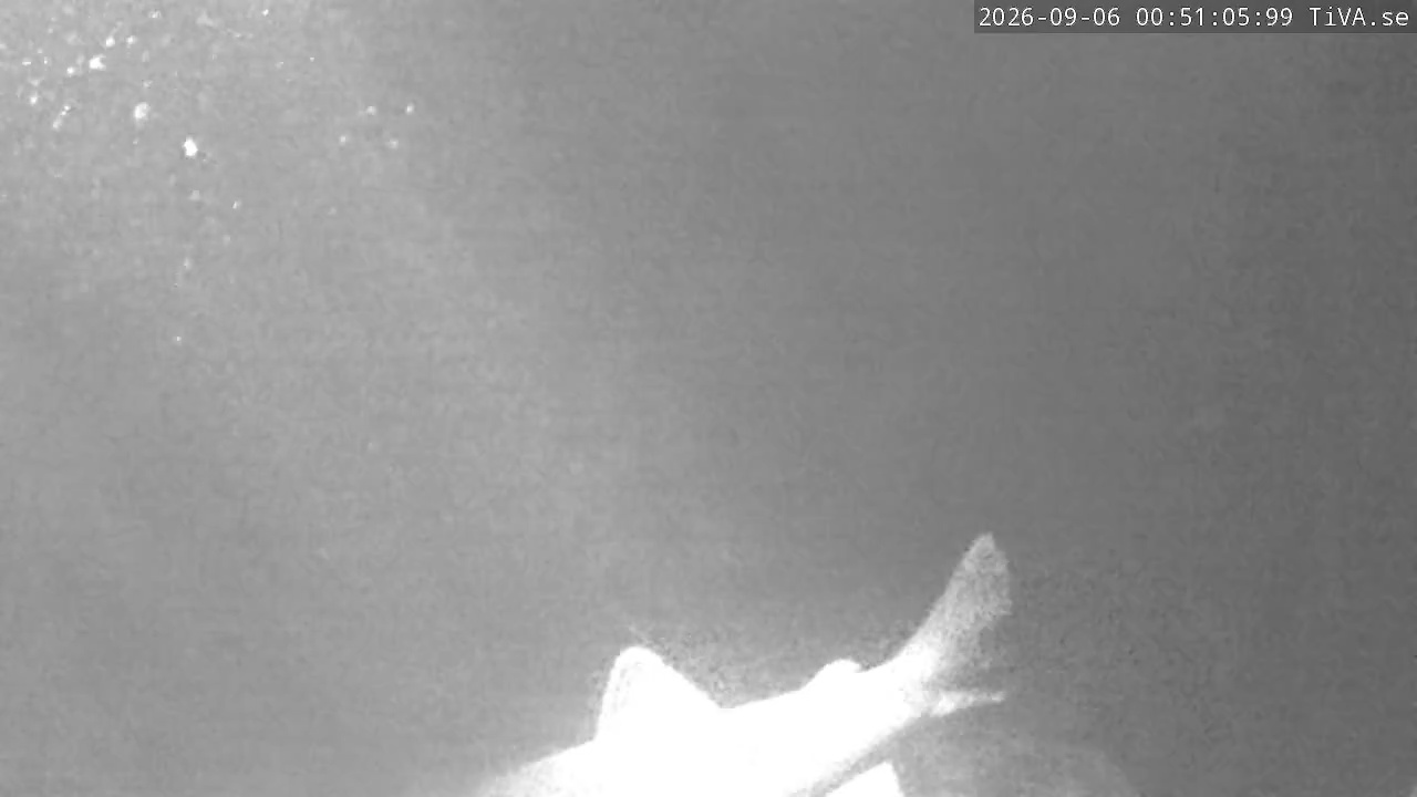 Video 2026-09-06 00:51