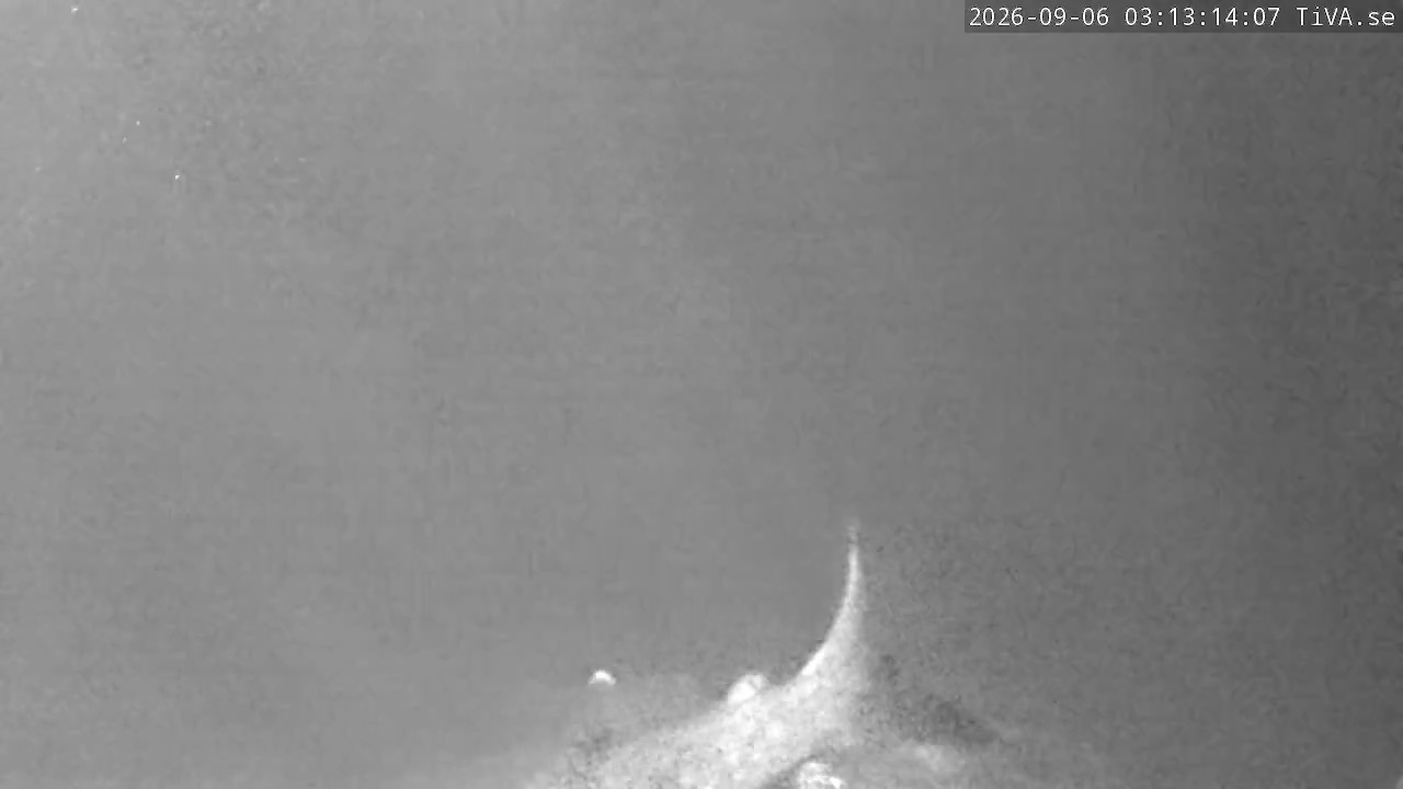 Video 2026-09-06 03:13