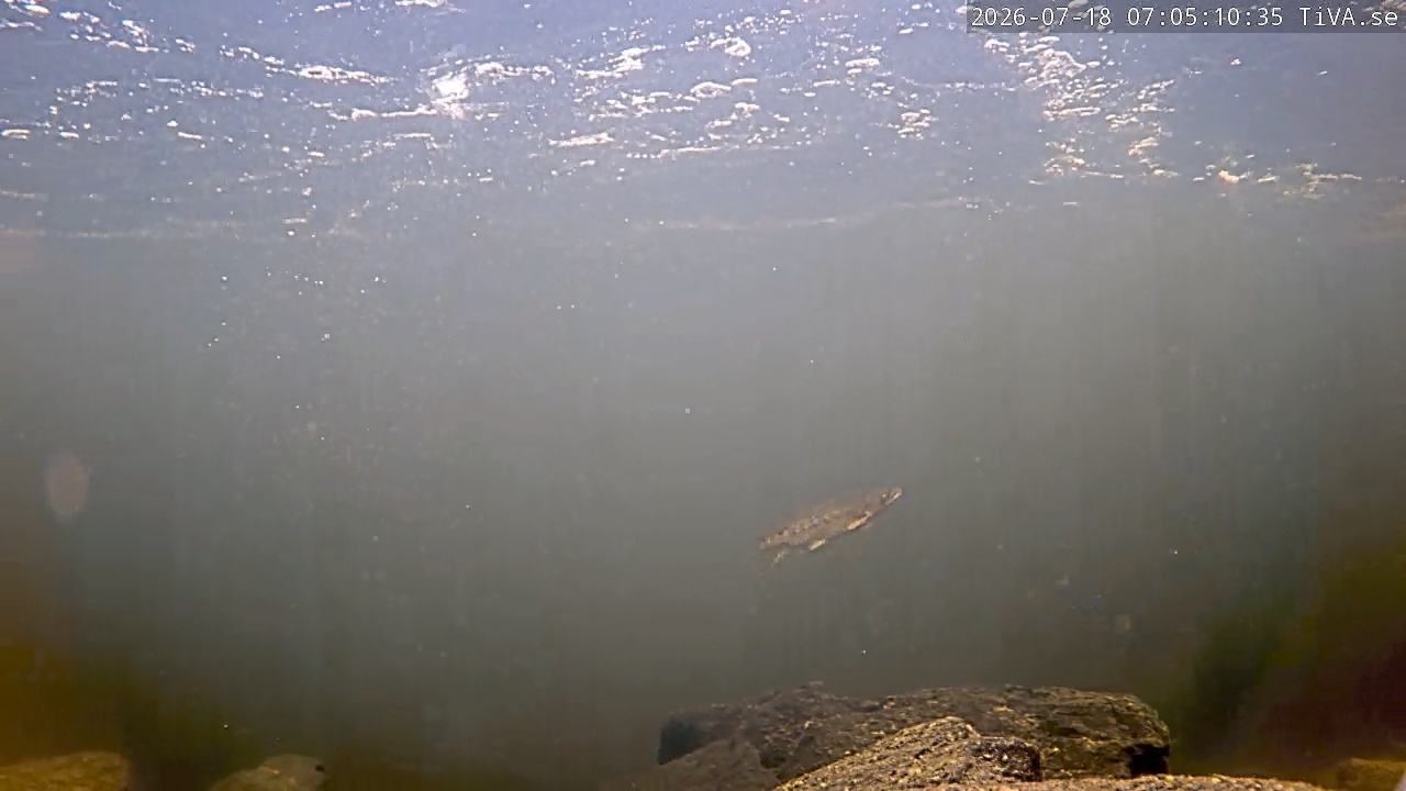Video 2026-07-18 07:05