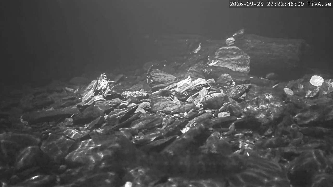Video 2026-09-25 22:22