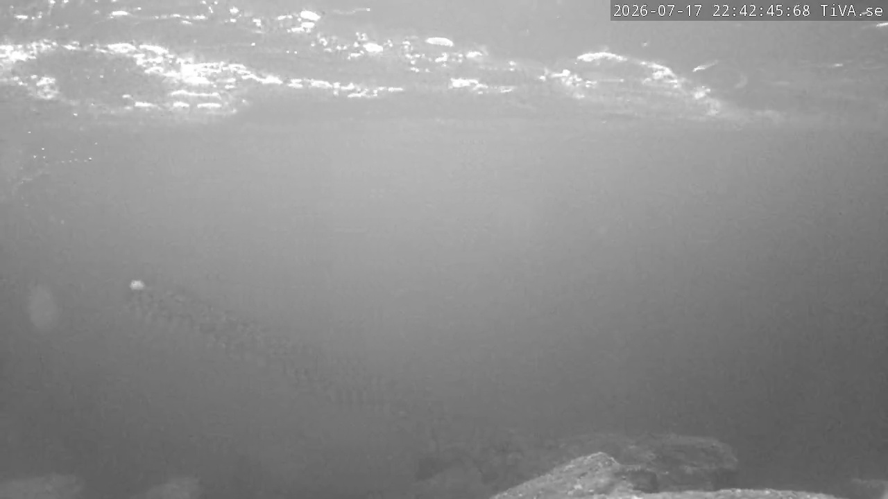 Video 2026-07-17 22:42