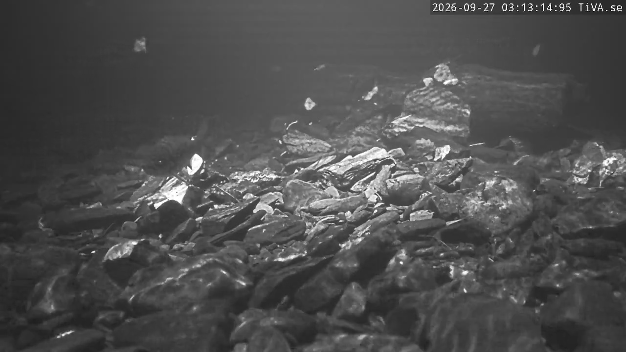 Video 2026-09-27 03:13