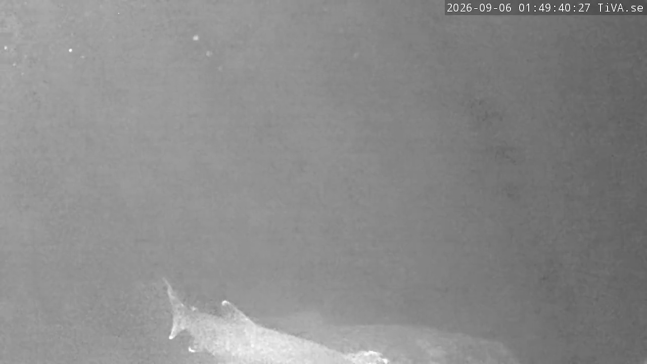 Video 2026-09-06 01:49