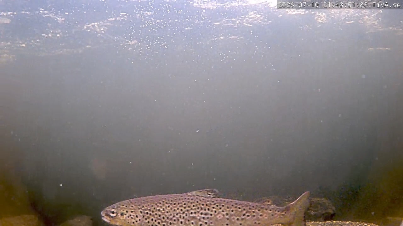 Video 2026-07-10 21:43