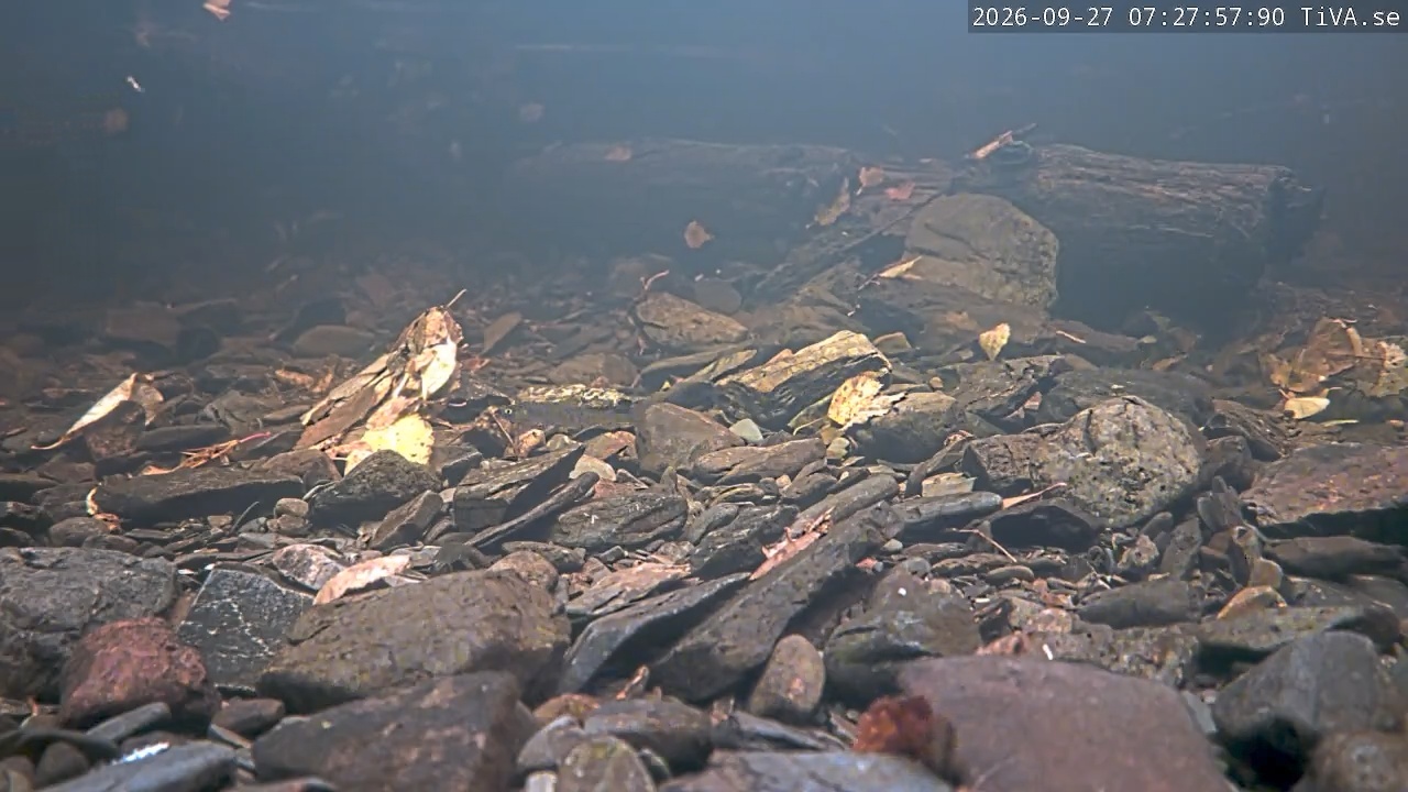 Video 2026-09-27 07:28