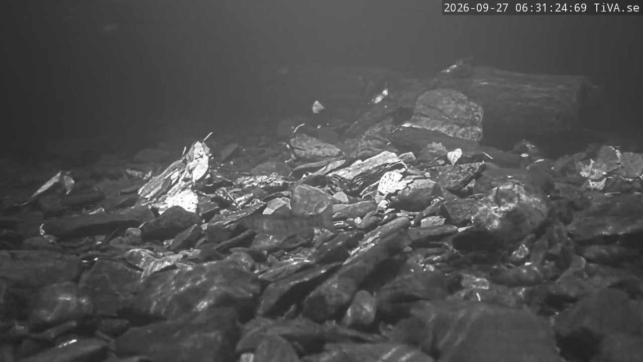 Video 2026-09-27 06:31