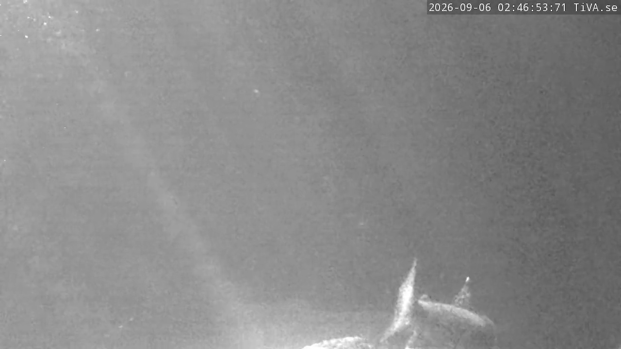Video 2026-09-06 02:46