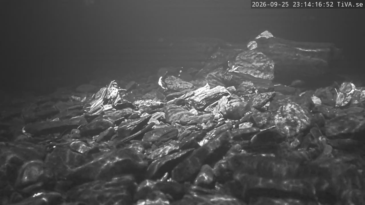 Video 2026-09-25 23:14