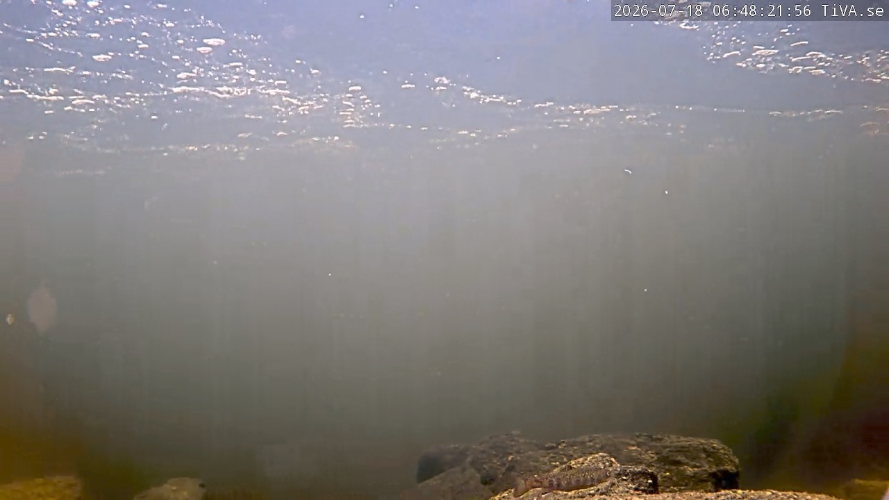 Video 2026-07-18 06:48