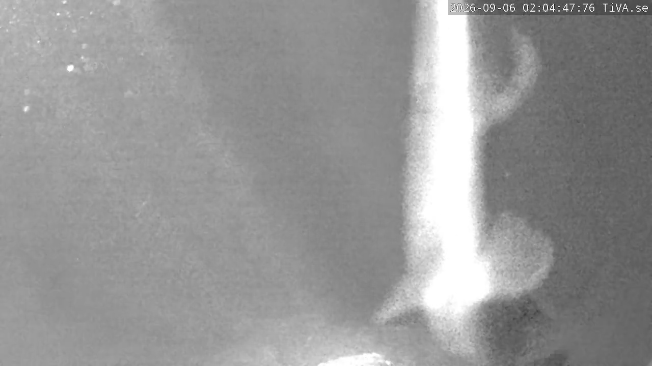 Video 2026-09-06 02:04
