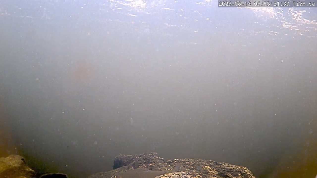 Video 2026-08-13 06:55