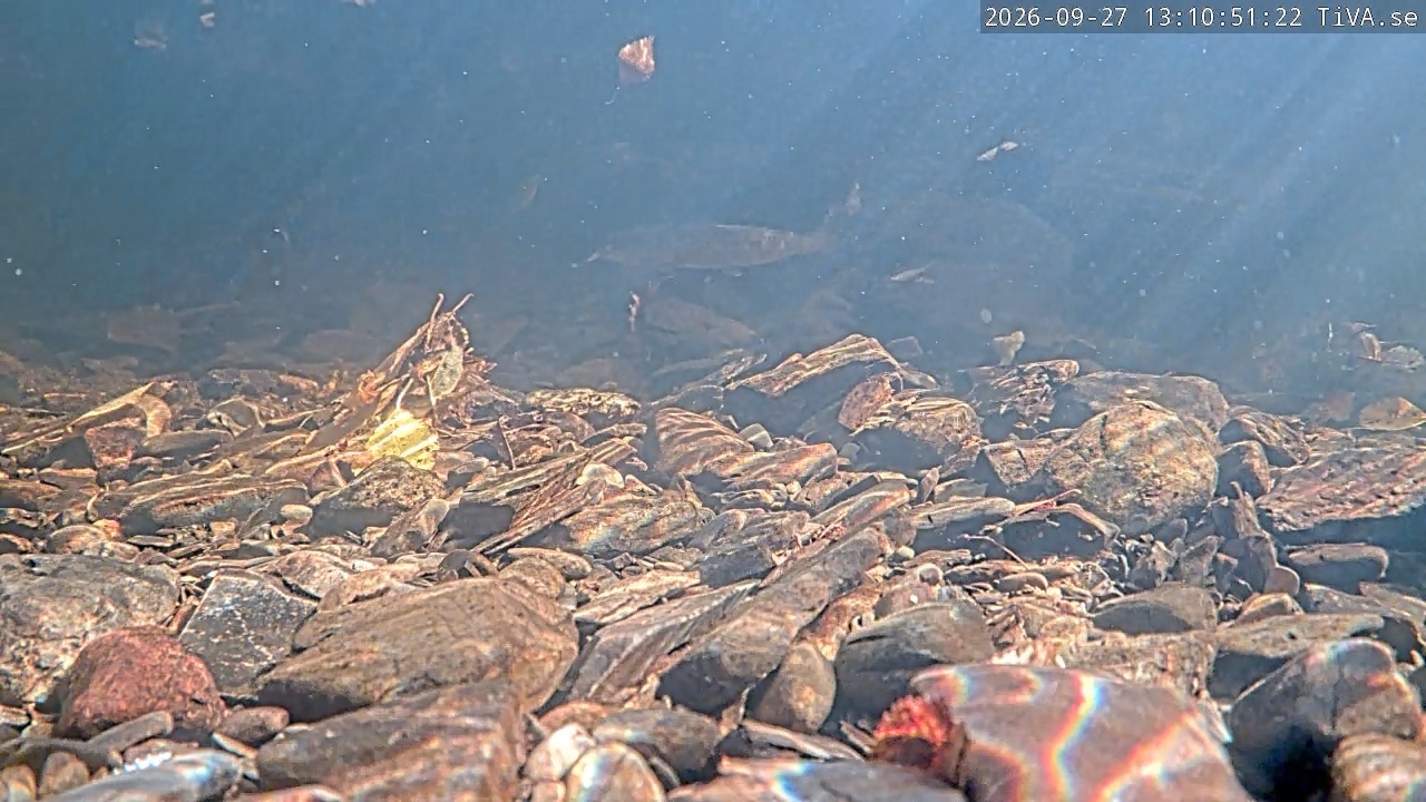 Video 2026-09-27 13:10