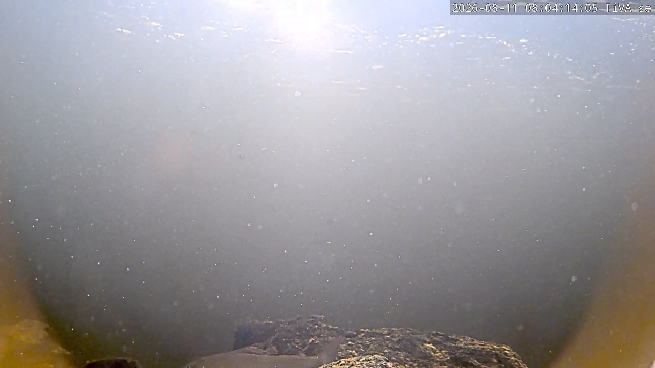 Video 2026-08-11 08:04