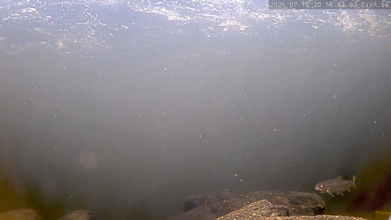 Video 2026-07-10 20:58