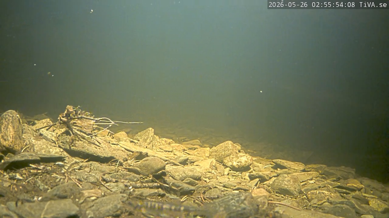 Video 2026-05-26 02:56