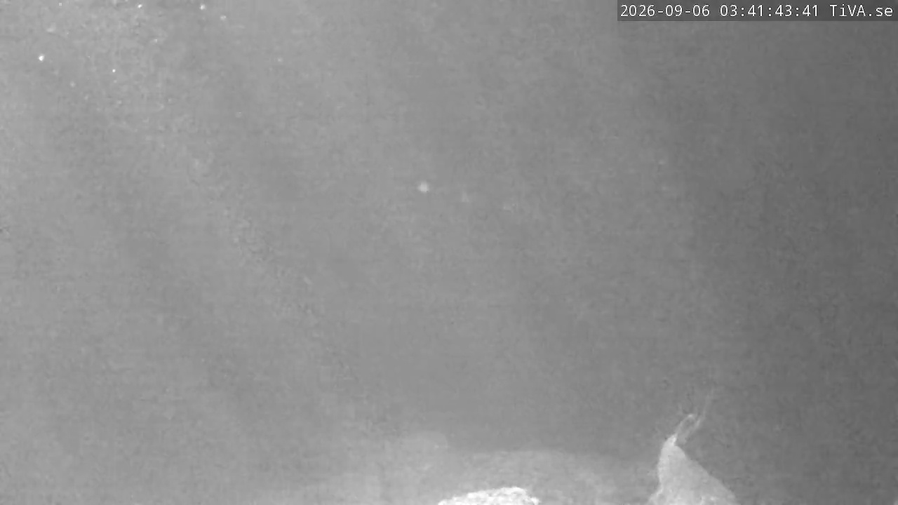 Video 2026-09-06 03:41