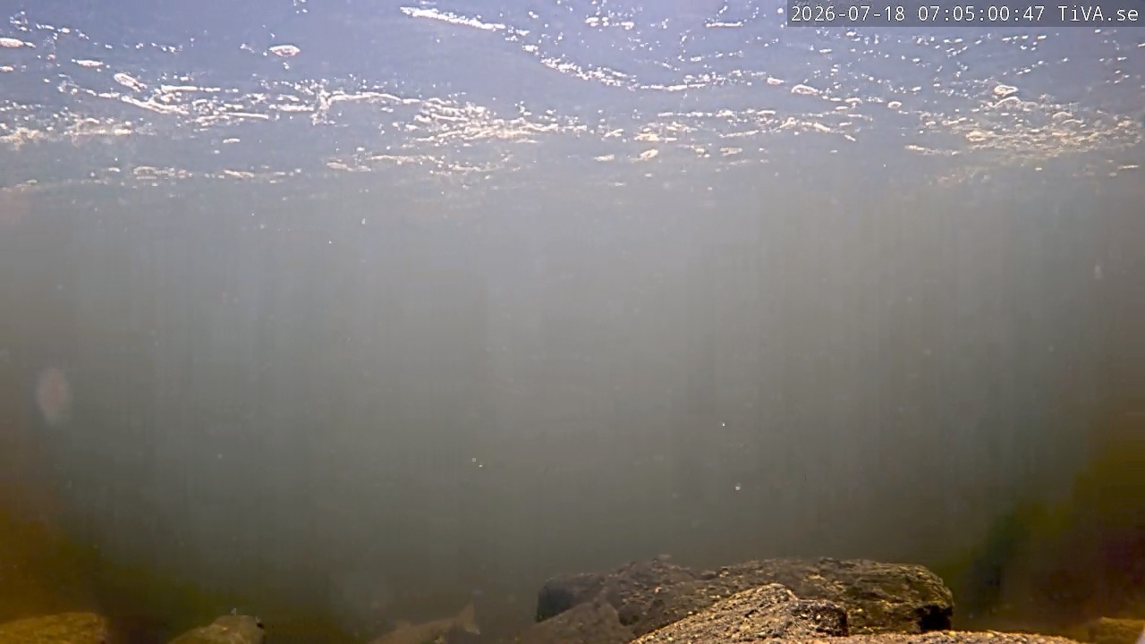 Video 2026-07-18 07:05