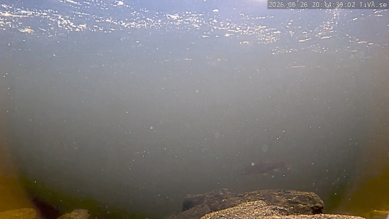 Video 2026-06-26 20:14