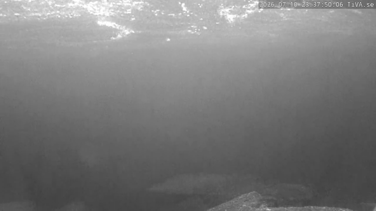 Video 2026-07-10 23:37