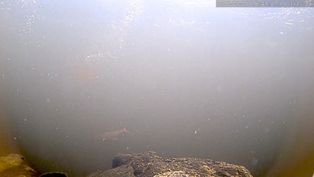 Video 2026-08-10 18:41
