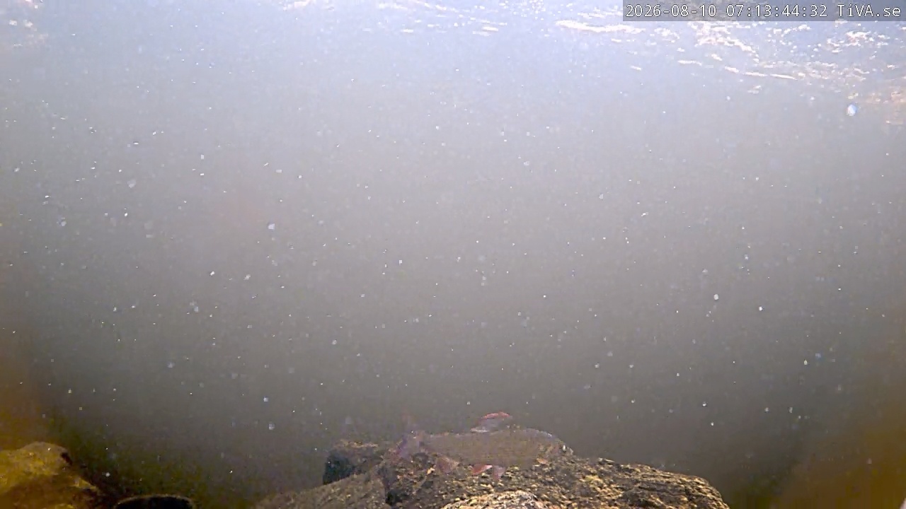 Video 2026-08-10 07:13