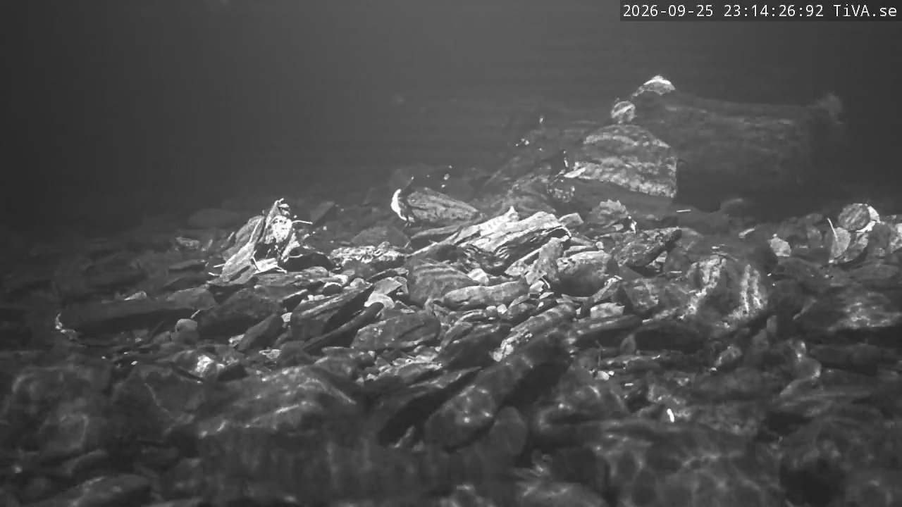 Video 2026-09-25 23:14
