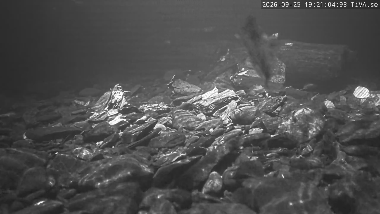 Video 2026-09-25 19:21