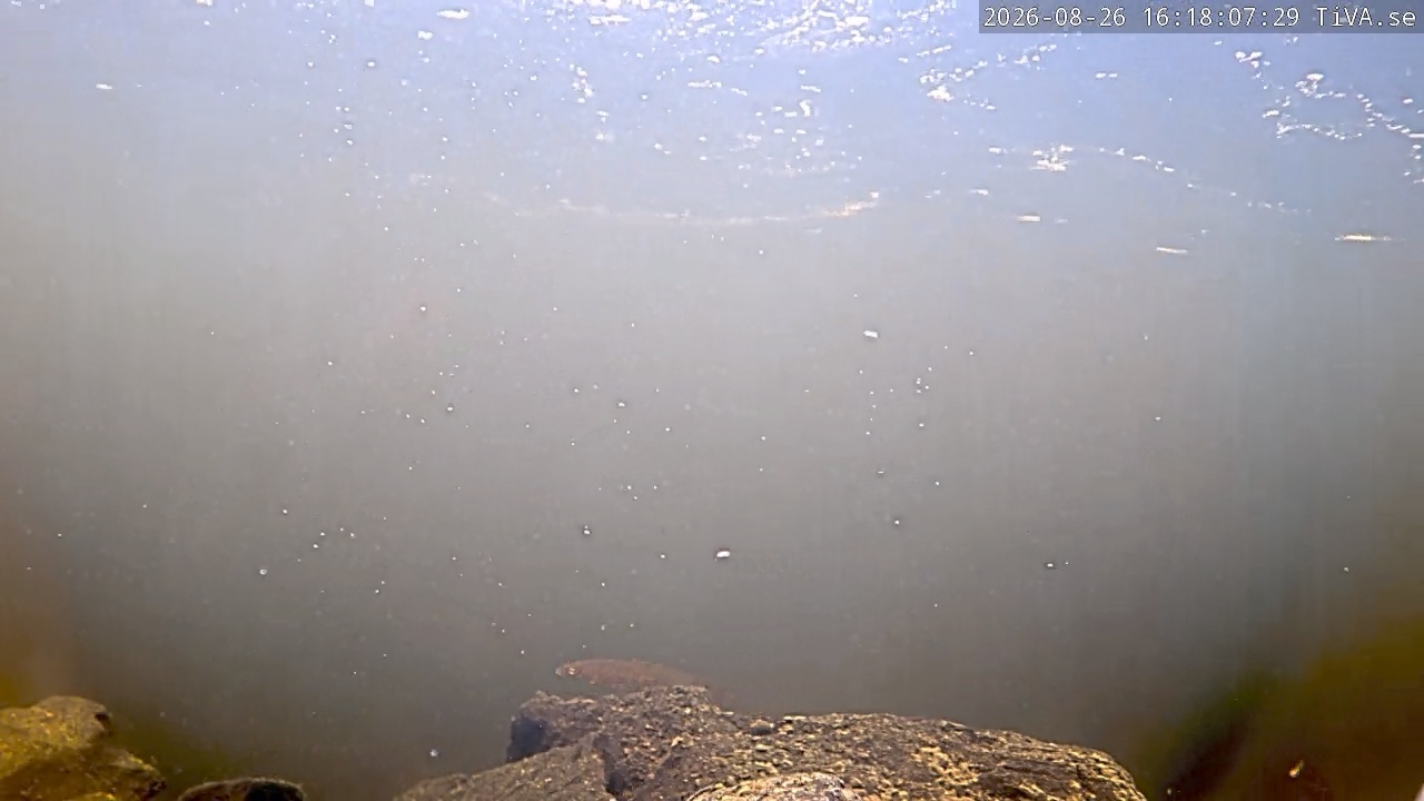 Video 2026-08-26 16:18