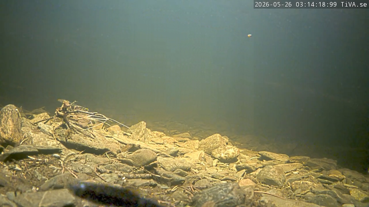 Video 2026-05-26 03:14