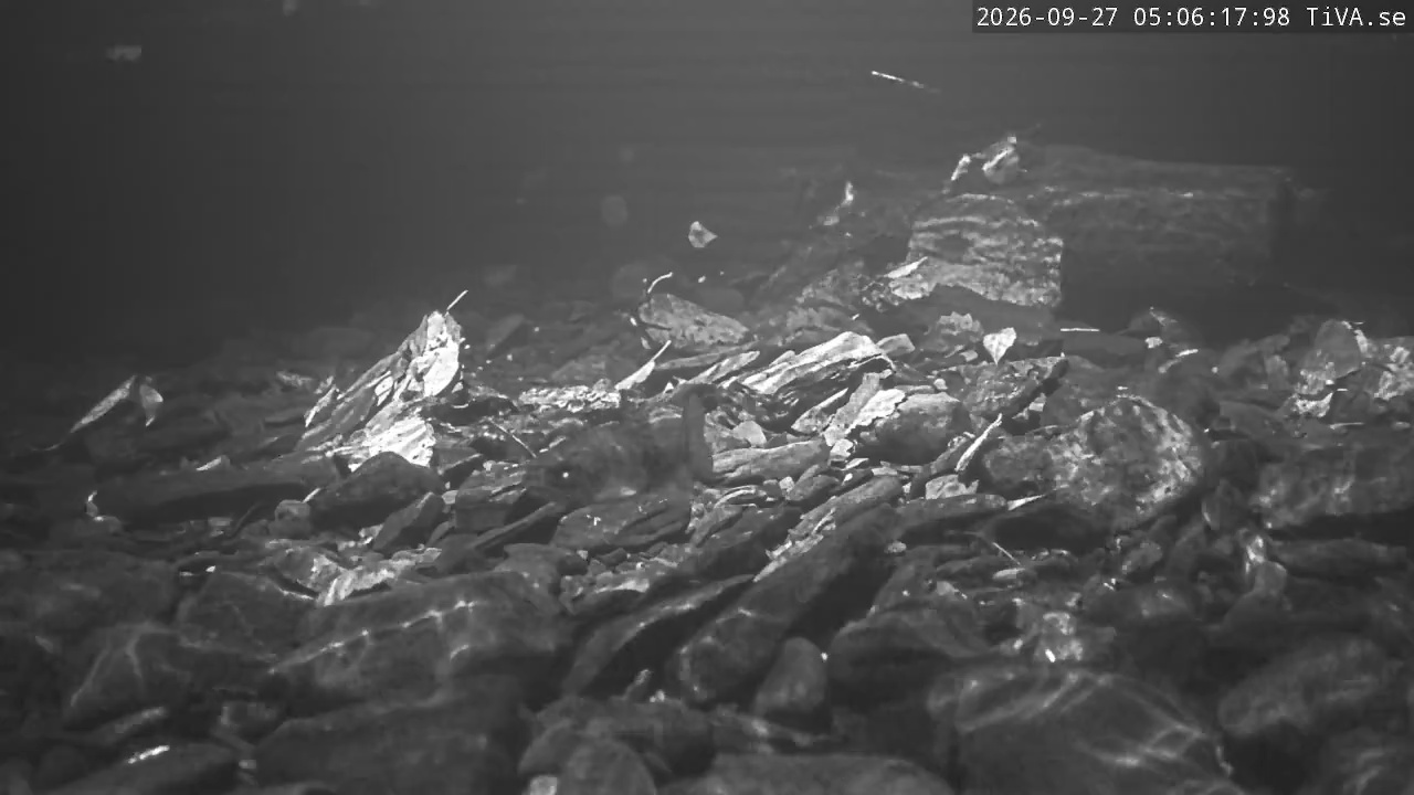 Video 2026-09-27 05:06