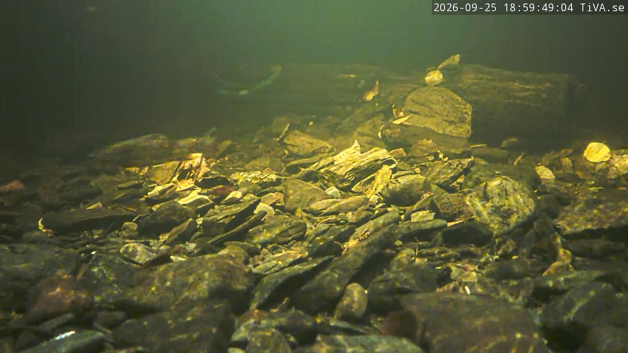 Video 2026-09-25 18:59