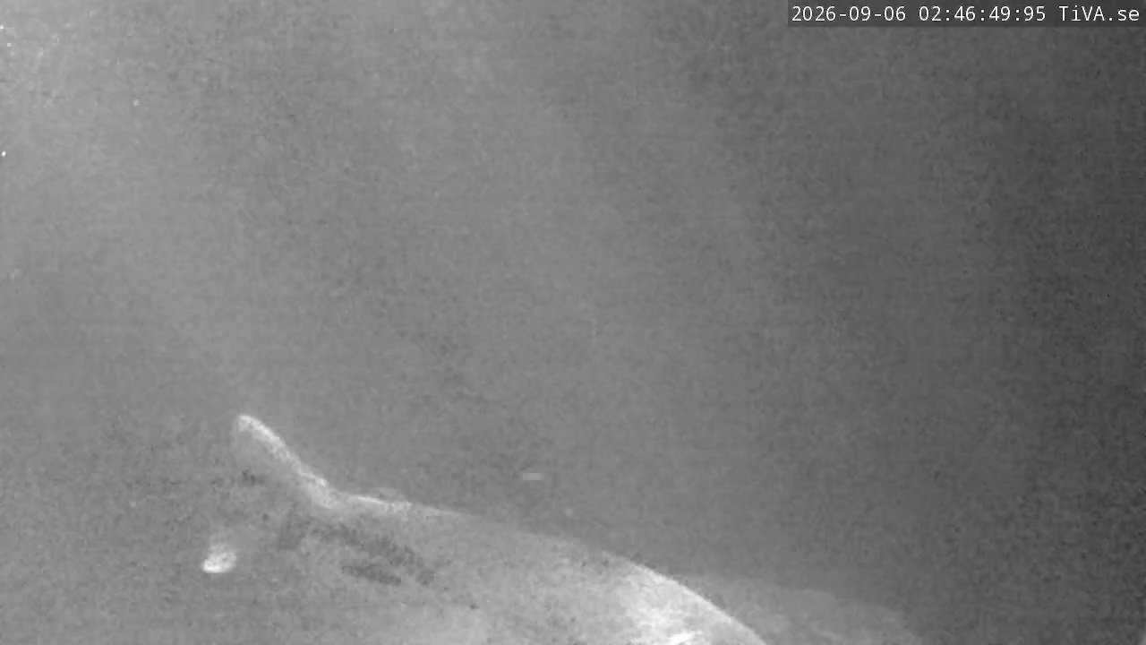 Video 2026-09-06 02:46