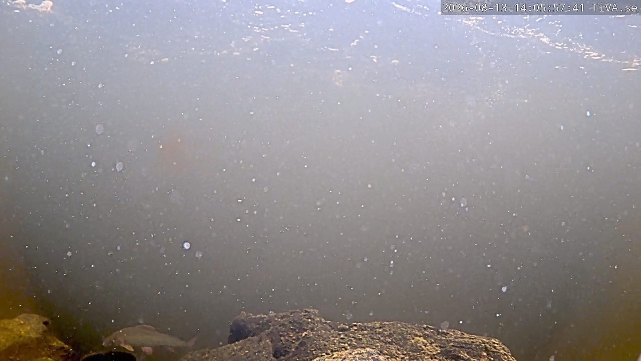 Video 2026-08-13 14:06